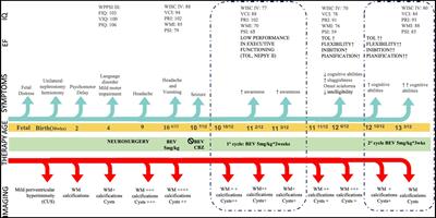 Case report: Clinical and neuroradiological longitudinal follow-up in Leukoencephalopathy with Calcifications and Cysts during treatment with bevacizumab